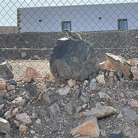 Violante Apartament *