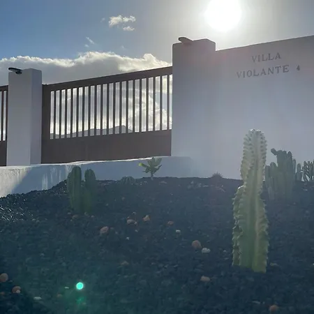 Violante Apartamento