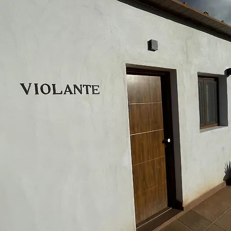 Apartamento Violante *